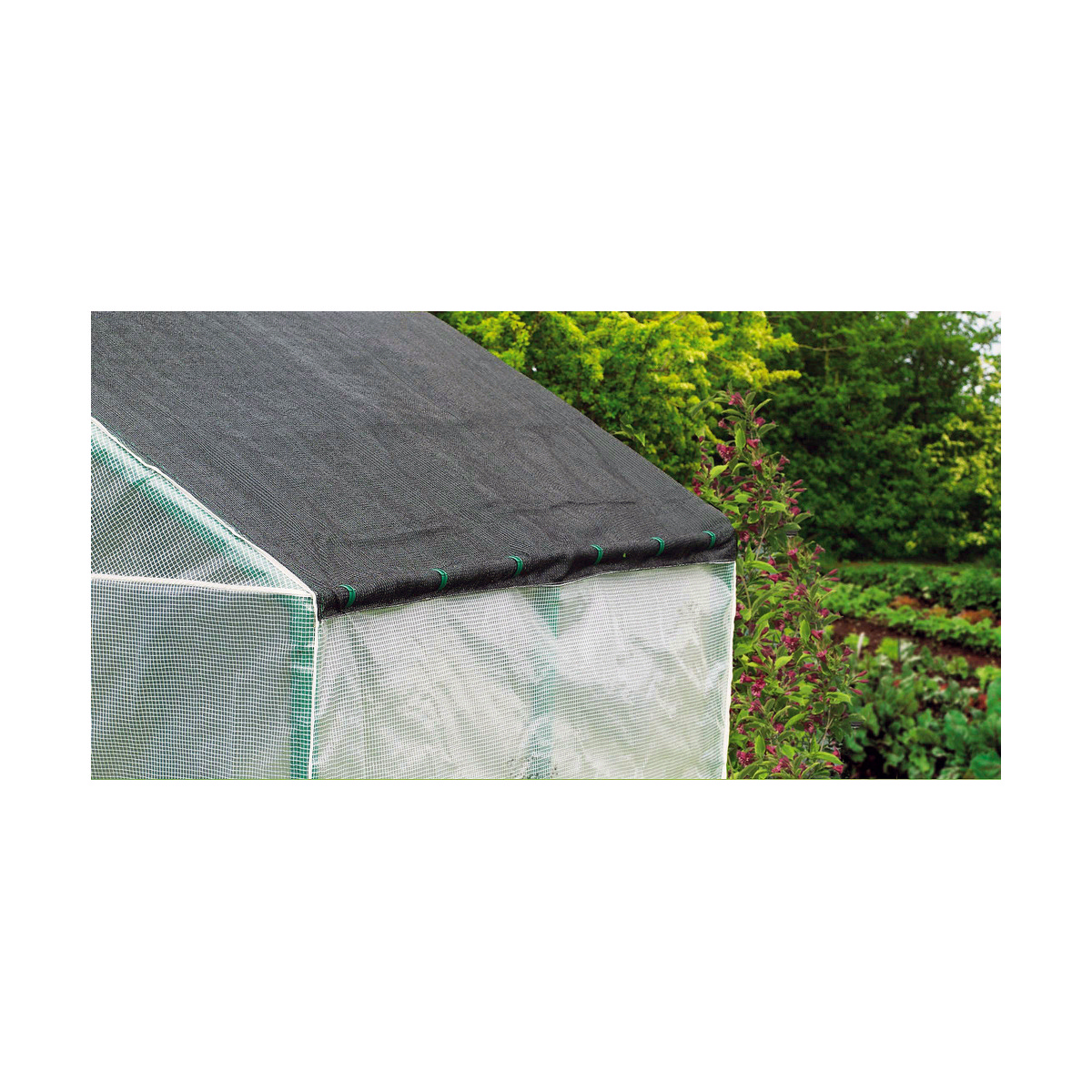 b0eef4cd7030ecac30b7a028b3b9f263